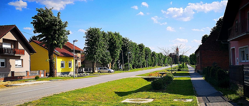Općina Špišić Bukovica